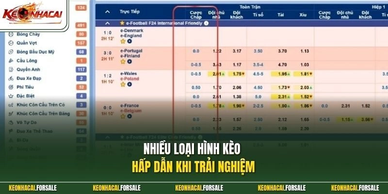 Nhiều loại tỷ lệ kèo nhà cái phổ biến